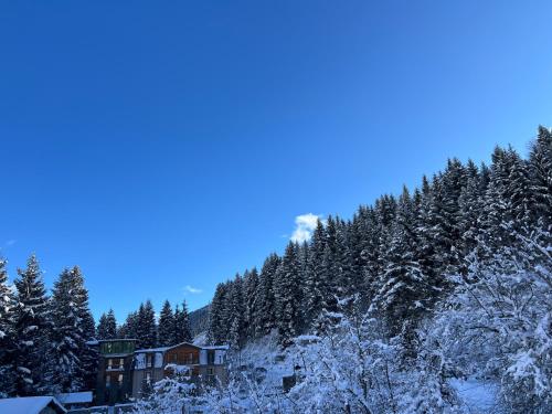 メスティアにあるShgedi Mestiaの雪に覆われた家