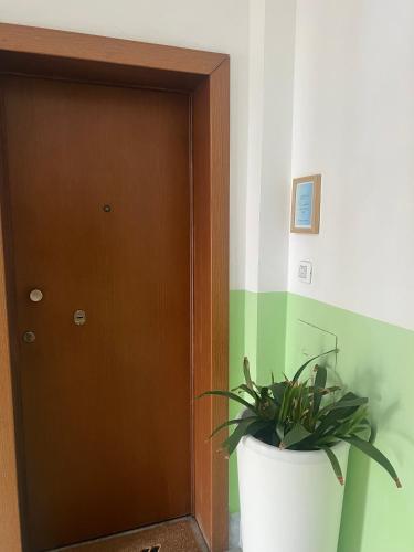 a plant in a white pot next to a door at A un passo dal mare! in Piombino