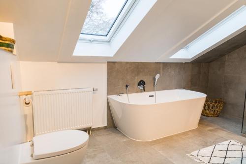 a bathroom with a tub and a toilet and a skylight at Ferienhaus am Eichberg in Grabenstätt