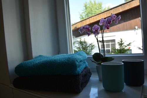 un rebord de fenêtre avec un oreiller bleu et une plante violette dans l'établissement Zur Lahnbrücke, à Kaldern