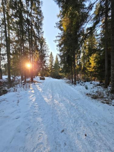 Willa Pod Górską Lawendą om vinteren