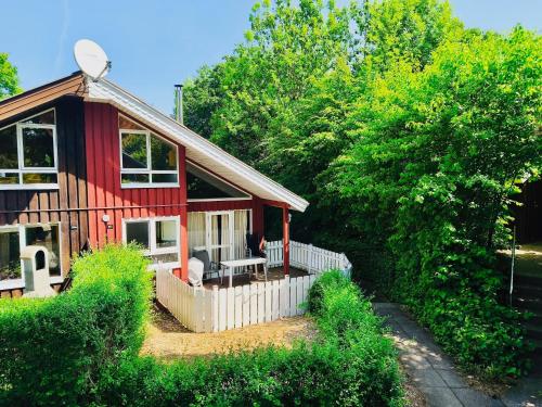 Vườn quanh Komfort-Ferienhaus Sonnental #50