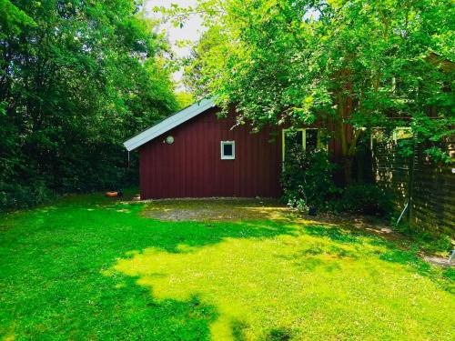 Vườn quanh Komfort-Ferienhaus Sonnental #50