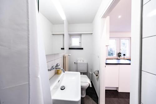 een witte badkamer met een wastafel en een toilet bij Lea Apartement - Ruhiges Studio in Schaffhausen