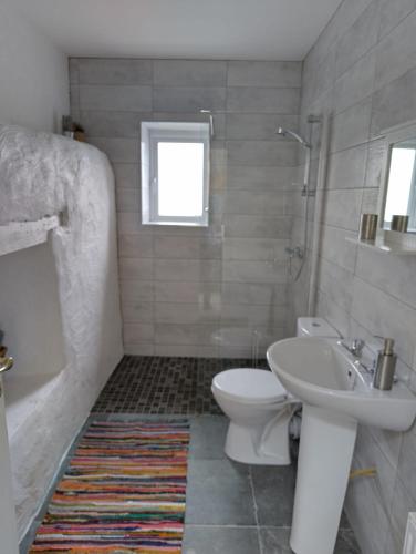 a bathroom with a toilet and a sink and a shower at Lavender lane cottage in Tralee