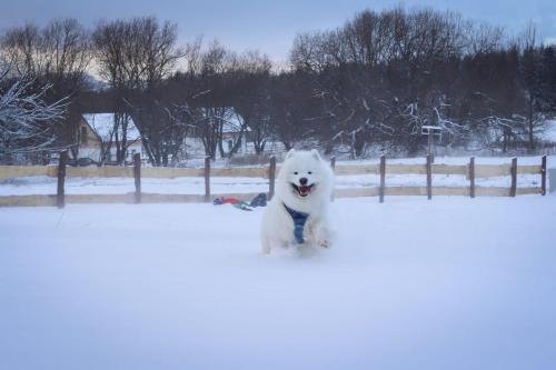 Domek Jak z Obrazka in de winter