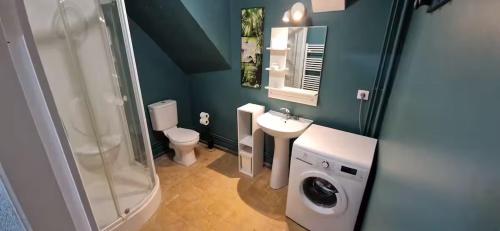 a bathroom with a toilet sink and a shower at Charmant studio - Centre historique de Crémieu in Crémieu
