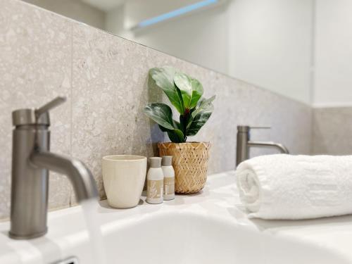 a bathroom sink with a potted plant on it at Villa Duin 33 in Westende
