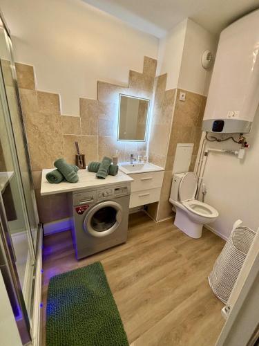 a bathroom with a sink and a washing machine at Studio Cosy et élégant avec Terrasse in Caluire-et-Cuire