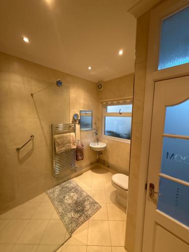 a bathroom with a toilet and a sink at Gower view in Burry Port