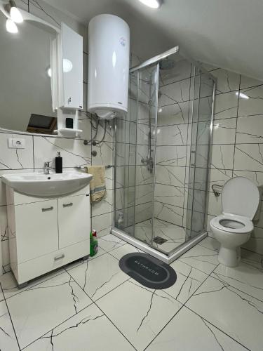 a bathroom with a shower and a sink and a toilet at NiLa in Ivanjica
