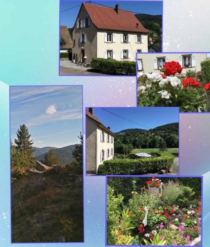 Charmant gîte au pied des Vosges 4pers wifi