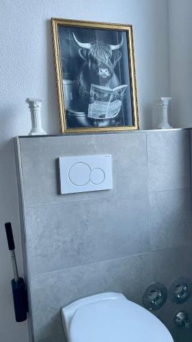 a picture on top of a toilet in a bathroom at Villa LaLeo in Künzelsau