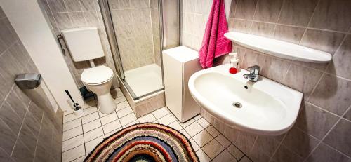 een kleine badkamer met een wastafel en een toilet bij Nertha, die Ferienwohnung in Uslar