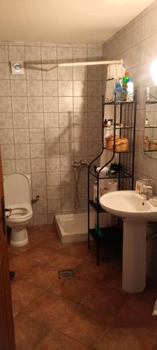 a bathroom with a toilet and a sink at Arxontiko Manteio in Manteio