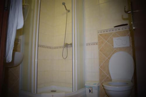 a bathroom with a shower with a toilet and a shower at Geréby Kúria Hotel és Lovasudvar in Lajosmizse
