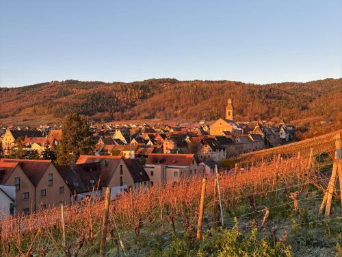 a view of a town with houses and trees at Hôtel Le Sarment d'Or in Riquewihr