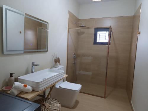 a bathroom with a shower and a sink and a toilet at Ka Nicita - Beach house with pool in Praia de Macaneta