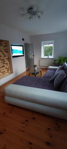 a large bedroom with a large bed in a room at Pakeliui I -On the way I in Baltrušaičiai