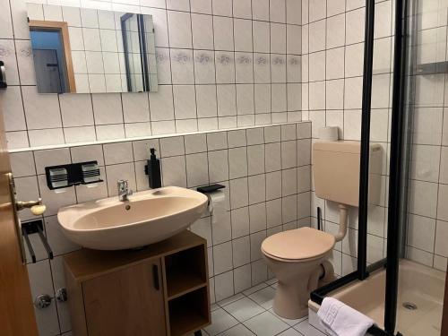a bathroom with a sink and a toilet at Pension Serbitzer Hof in Serbitz