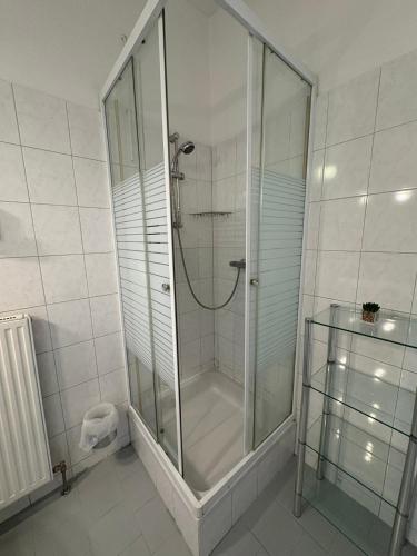 a shower with a glass door in a bathroom at Pension Lizzi in Vienna