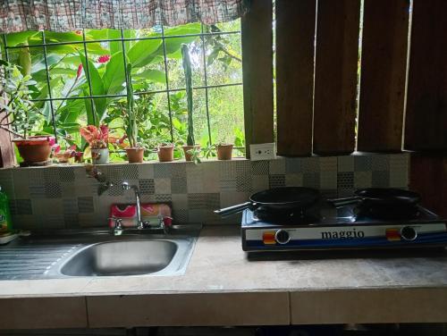 een aanrecht met een wastafel en een fornuis bij Cabaña lago Río Celeste in El Achiote