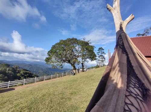Naturlandskabet i nærheden af chaletet