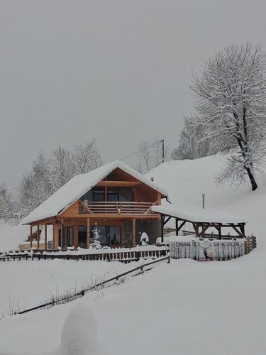 a log cabin with snow on the roof at Cabana de sub mesteceni in Mătişeşti