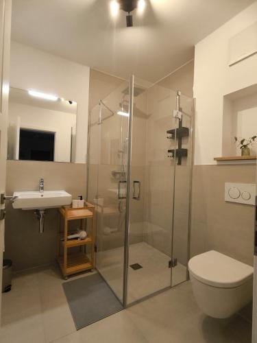 a bathroom with a shower and a toilet and a sink at SeeZeitApartments Whg 28 in Lembruch
