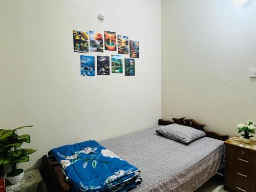 Paradise Suite's