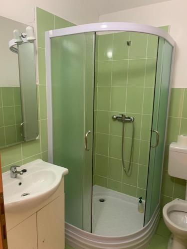 a green bathroom with a shower and a sink at Vikendica PEPO in Blidinje