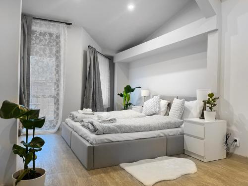 Spacious Apartment with 5 bedrooms and 2 bathrooms for 12 guest in Cracow Old Town