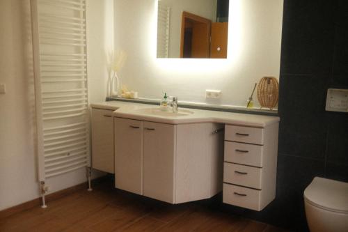 a bathroom with a sink and a mirror at Pension am Waldrand in Sinsheim