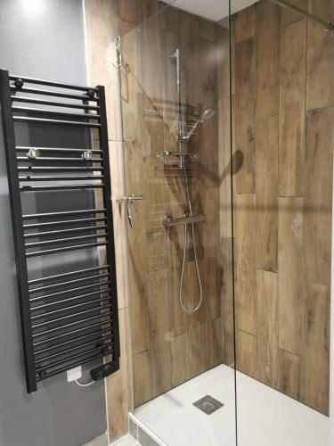 a bathroom with a shower with a glass door at maison de village in Renaison