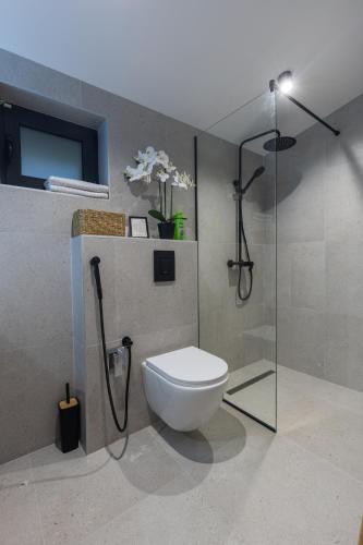 a bathroom with a toilet and a shower at BLOK Wood Cottage in Visoko