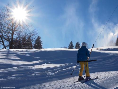 a person on skis standing in the snow at Gasthof Pesbichl in Goldegg