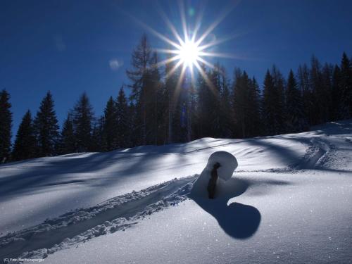 a snow covered slope with the sun in the background at Gasthof Pesbichl in Goldegg