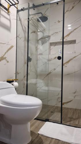 a bathroom with a toilet and a glass shower at Mirador volcanes in Santa Luisa