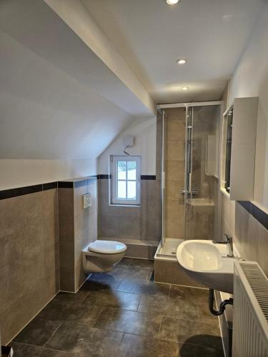 a bathroom with a sink and a toilet and a shower at Hotel Lahnblick in Weilburg