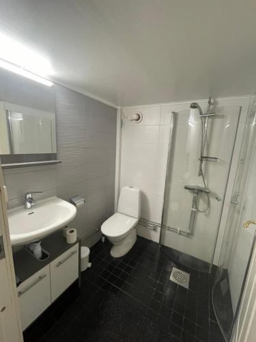a bathroom with a toilet and a shower and a sink at Mini Hus in Märsta