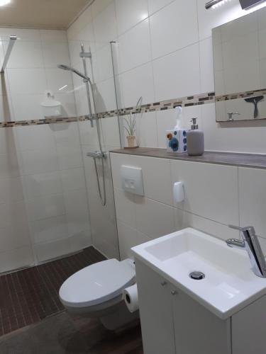 Et badeværelse på Ferienwohnungen Am alten Schafstall