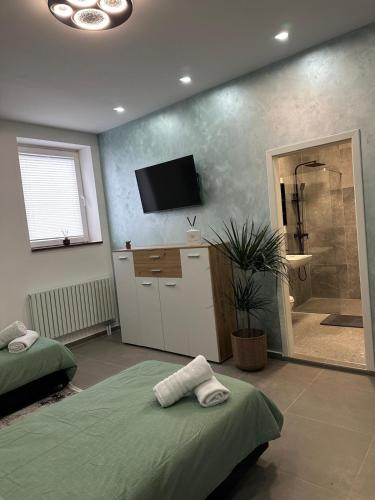 a bedroom with a shower and a tv on the wall at Aura Apartment 2 Herne in Herne