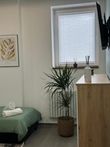 a bedroom with a bed and a potted plant at Aura Apartment 2 Herne in Herne