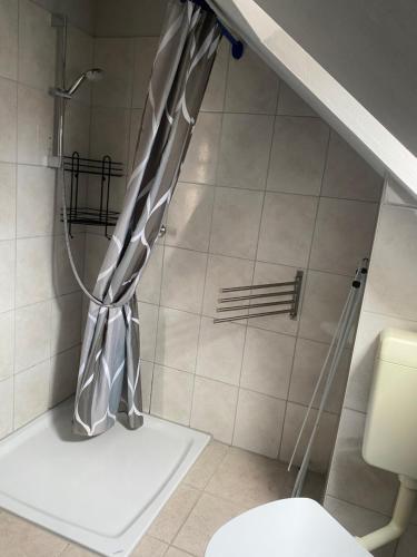 a shower curtain in a bathroom next to a toilet at Apartment An der Büdnerei in Graal-Müritz