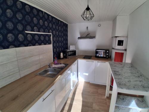 a kitchen with a sink and a counter top at Maison de l'harmonie à Limoges in Limoges