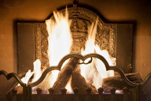 a fire is burning in a fireplace at Hotel Diamonds and Pearls in Antwerp