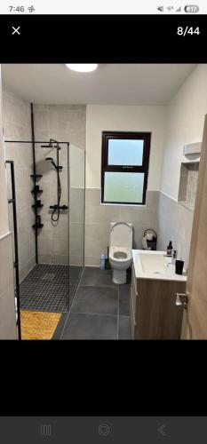 a bathroom with a shower and a toilet and a sink at Seaview House in Donegal