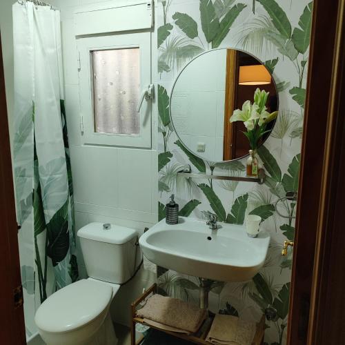 a bathroom with a toilet and a sink and a mirror at CENTRO HISTORICO in Manzanares