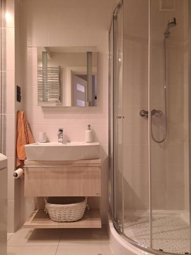 a bathroom with a sink and a shower at Silver Apartament Kowary in Kowary