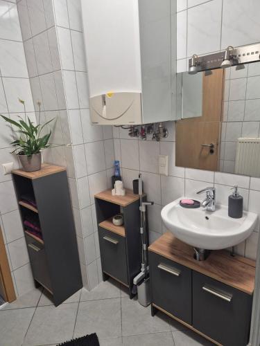 a bathroom with a sink and a mirror at Inna's and Dima's Ferienwohnung in Pirmasens